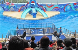 Ocean Park trở thành điểm đến hàng đầu ở Hồng Công